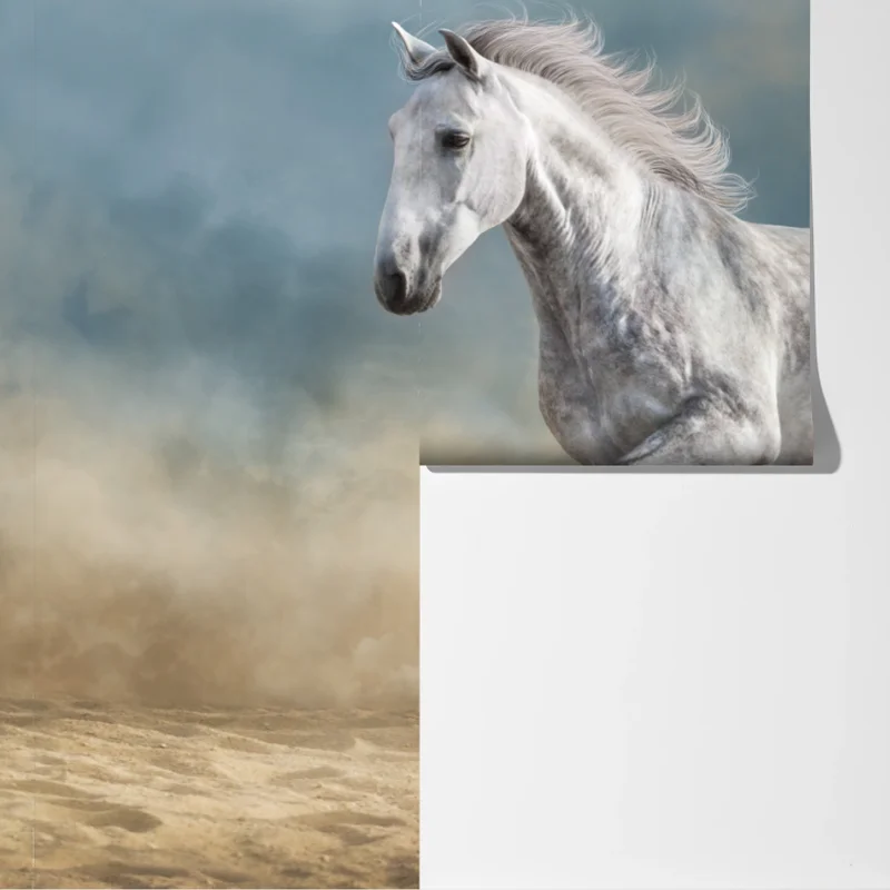 Fototapete majestätisches graues pferd galoppiert durch den sand Fototapete majestätisches graues pferd galoppiert durch den sand