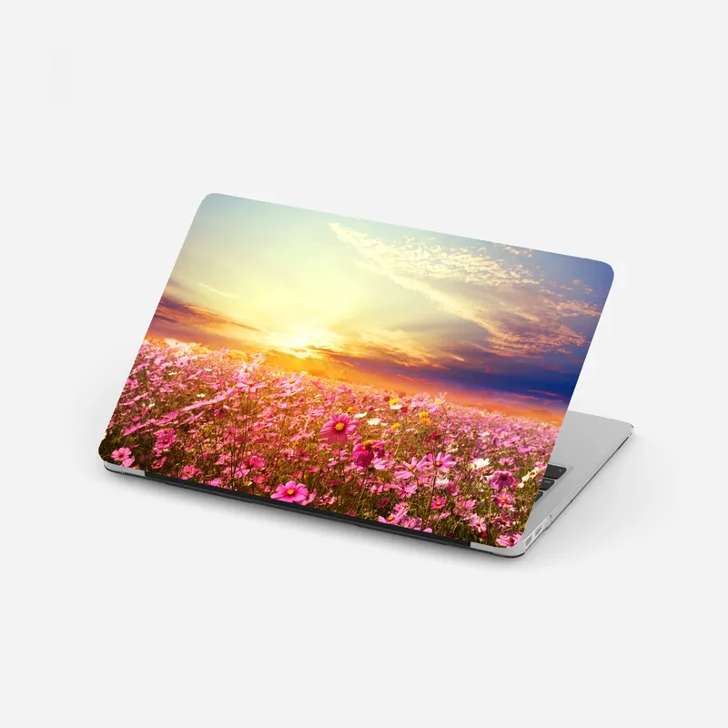 Laptop-Aufkleber sonnenuntergang über rosa kosmosfeld