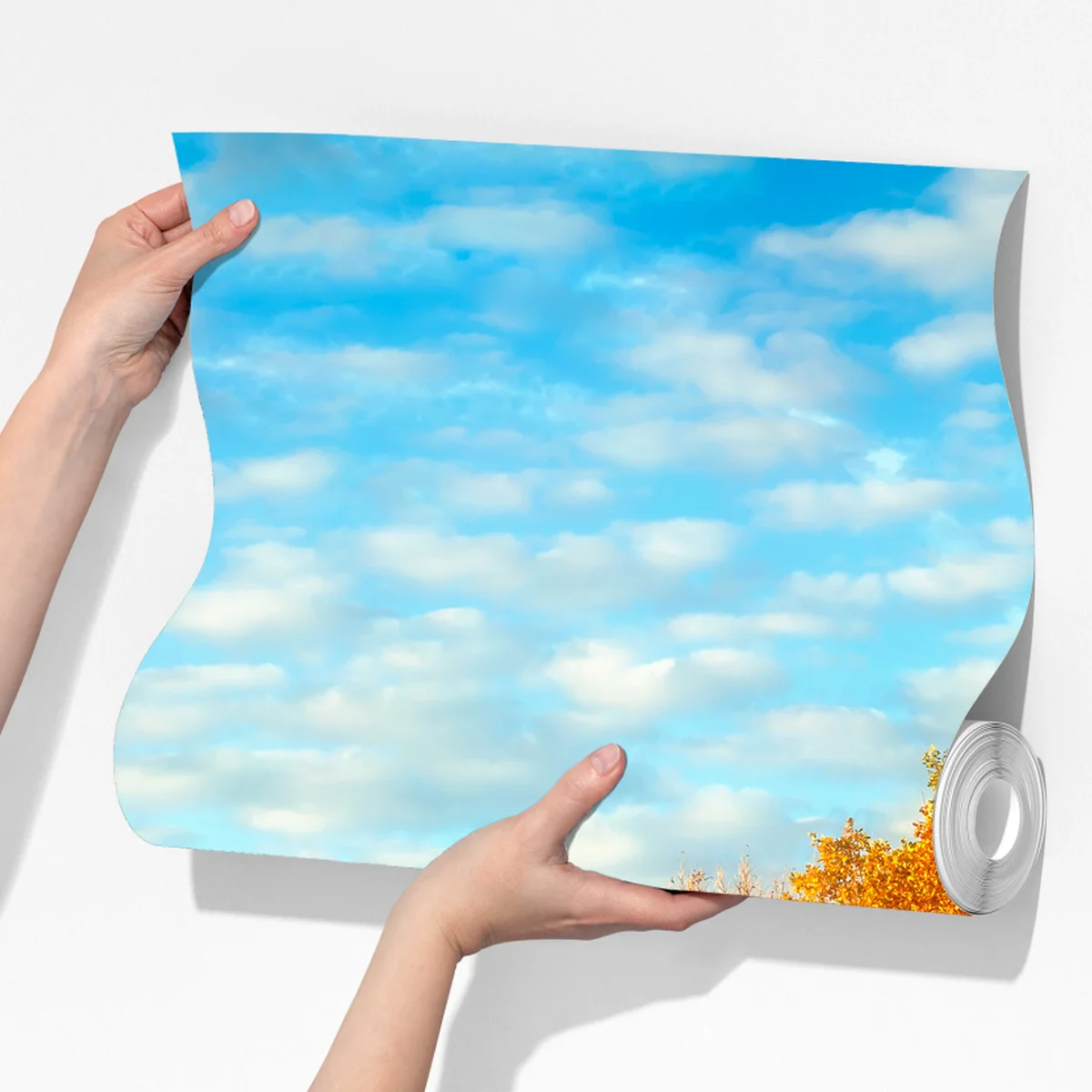 Fototapete goldene herbstwiese Fototapete goldene herbstwiese