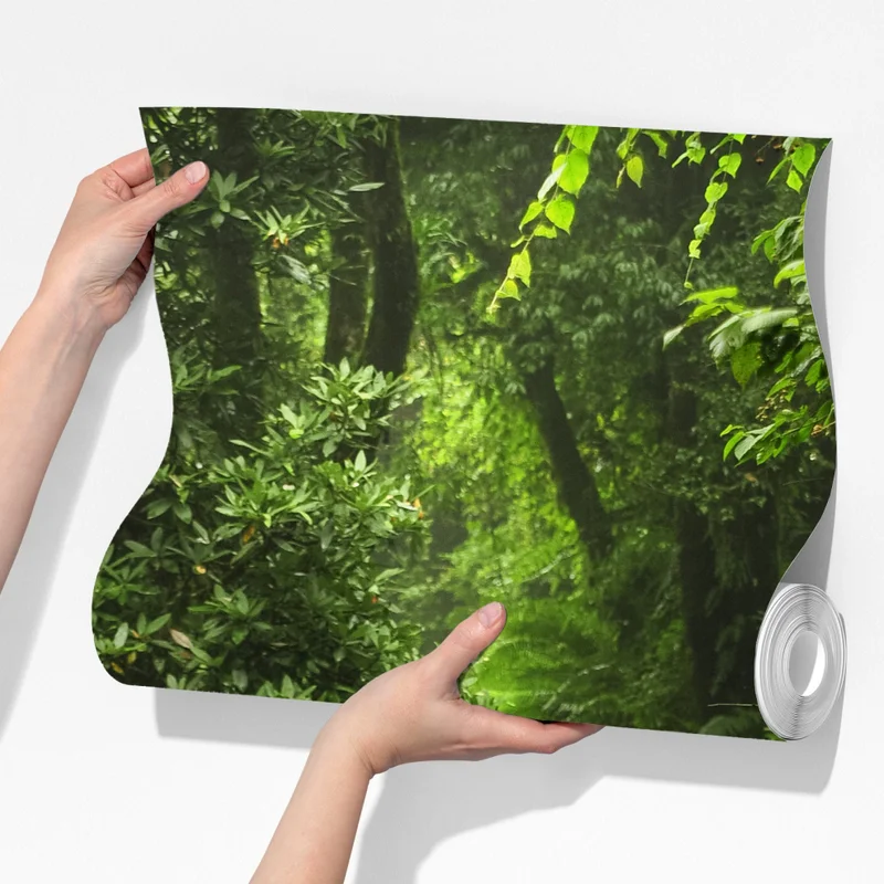 Fototapete verzauberter moosiger waldpfad Fototapete verzauberter moosiger waldpfad