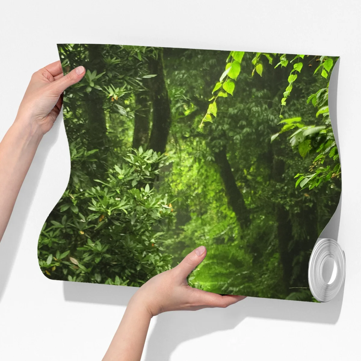 Fototapete verzauberter moosiger waldpfad Fototapete verzauberter moosiger waldpfad