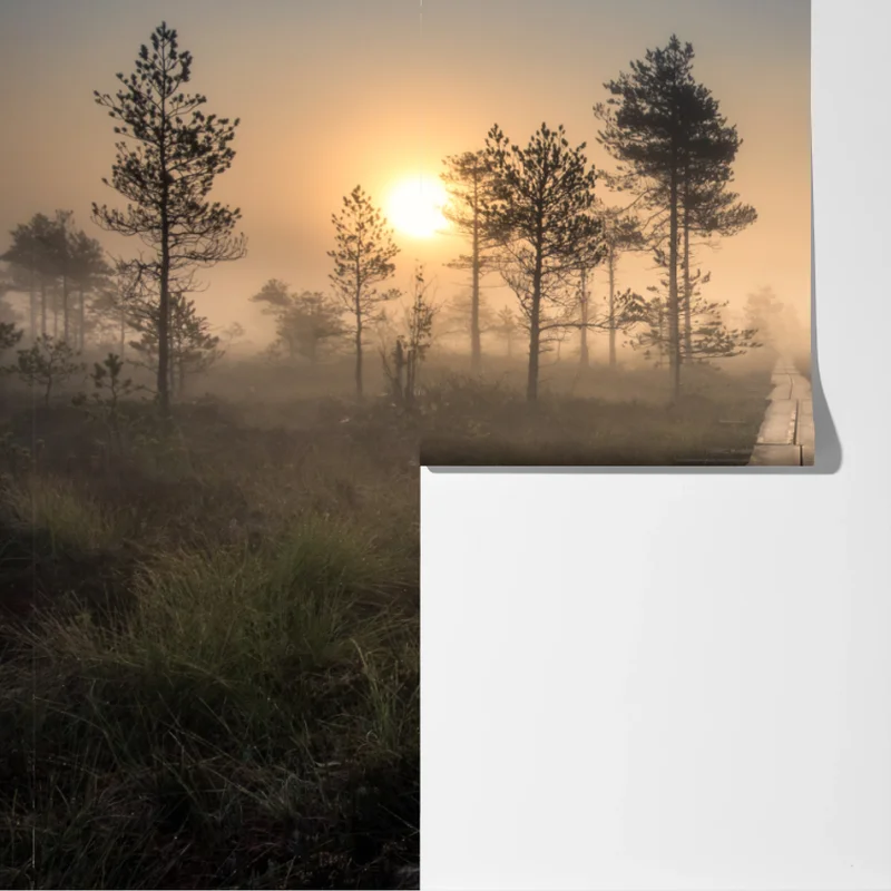 Fototapete nebliger sonnenaufgang über dem holzsteg Fototapete nebliger sonnenaufgang über dem holzsteg