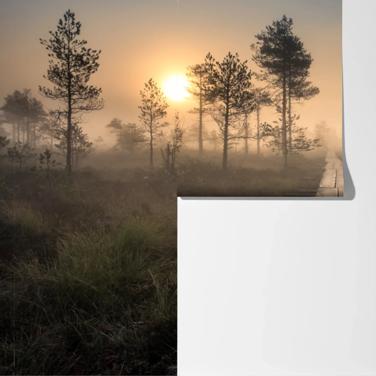 Fototapete nebliger sonnenaufgang über dem holzsteg Fototapete nebliger sonnenaufgang über dem holzsteg