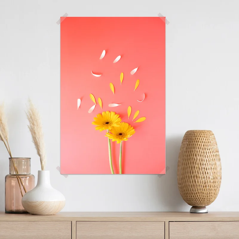 Poster sonnige gelbe gerbera auf korallfarbenem hintergrund Poster sonnige gelbe gerbera auf korallfarbenem hintergrund