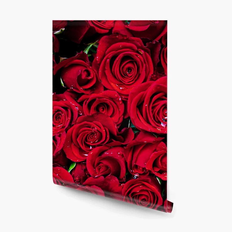 Fototapete dichte wand aus roten rosen Fototapete dichte wand aus roten rosen