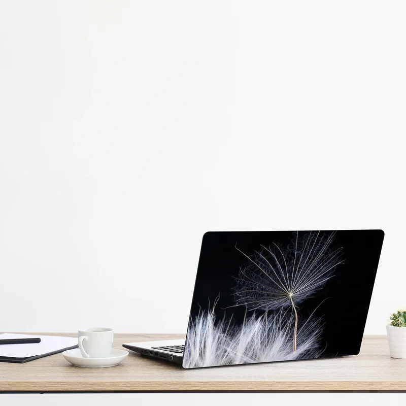 Naklejka na laptopa delikatne ziarno mniszka na czarnym tle Naklejka na laptopa delikatne ziarno mniszka na czarnym tle