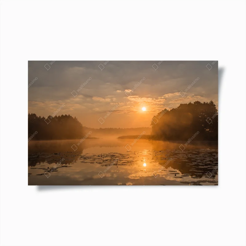 Poster goldener morgen über einem nebligen see • Poster bei Wallnifity® Poster goldener morgen über einem nebligen see • Poster bei Wallnifity®