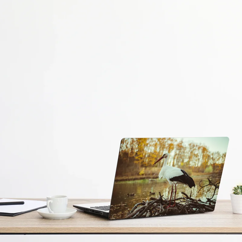 Laptop-Aufkleber weißer storch am herbstlichen see Laptop-Aufkleber weißer storch am herbstlichen see