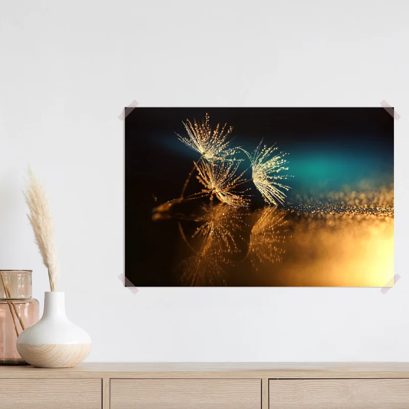 Poster goldene reflexion von löwenzahnsamen Poster goldene reflexion von löwenzahnsamen