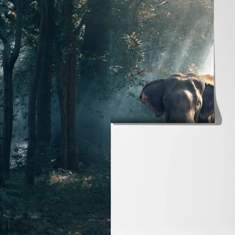 Fototapete majestätischer elefant im sonnenlichtdurchfluteten wald Fototapete majestätischer elefant im sonnenlichtdurchfluteten wald