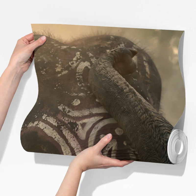 Fototapete majestätischer Thai-elefant mit stoßzähnen Fototapete majestätischer Thai-elefant mit stoßzähnen