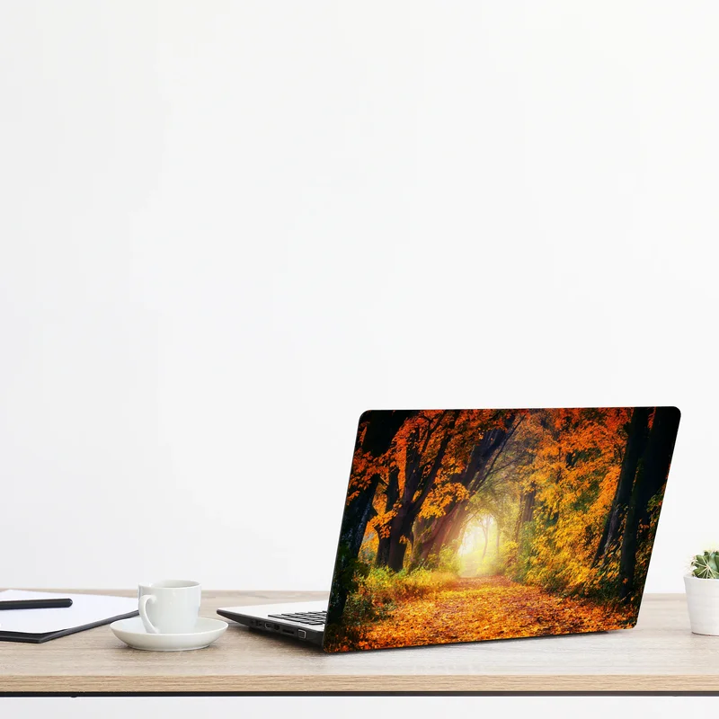 Laptop-Aufkleber herbstlicher waldpfad im goldenen licht