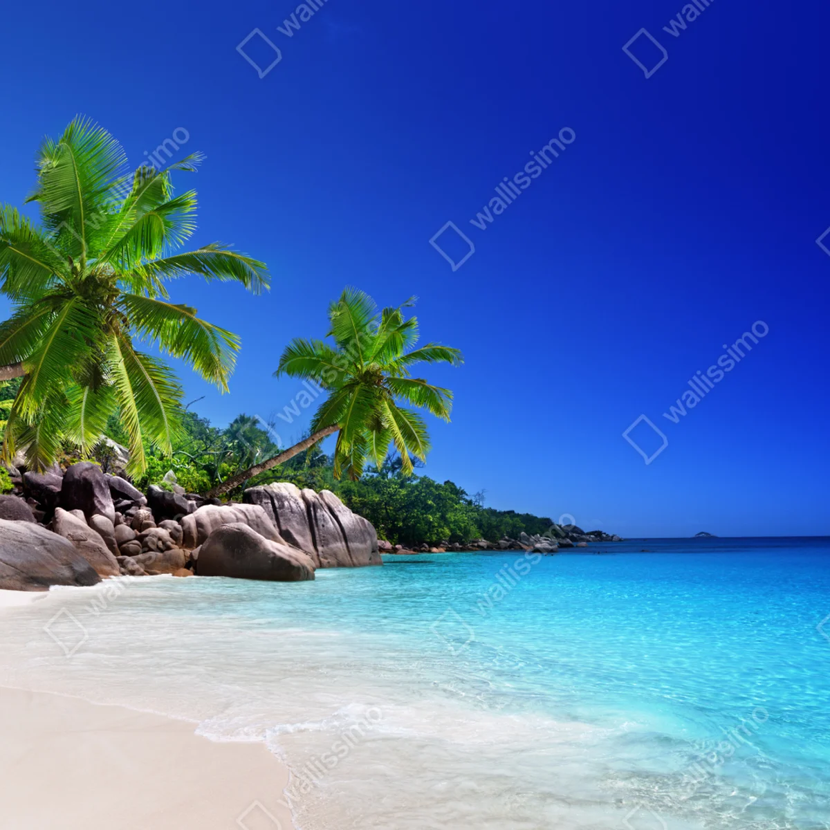 Repositionierbarer Aufkleber tropischer strand mit türkisfarbenem wasser und palmen Repositionierbarer Aufkleber tropischer strand mit türkisfarbenem wasser und palmen