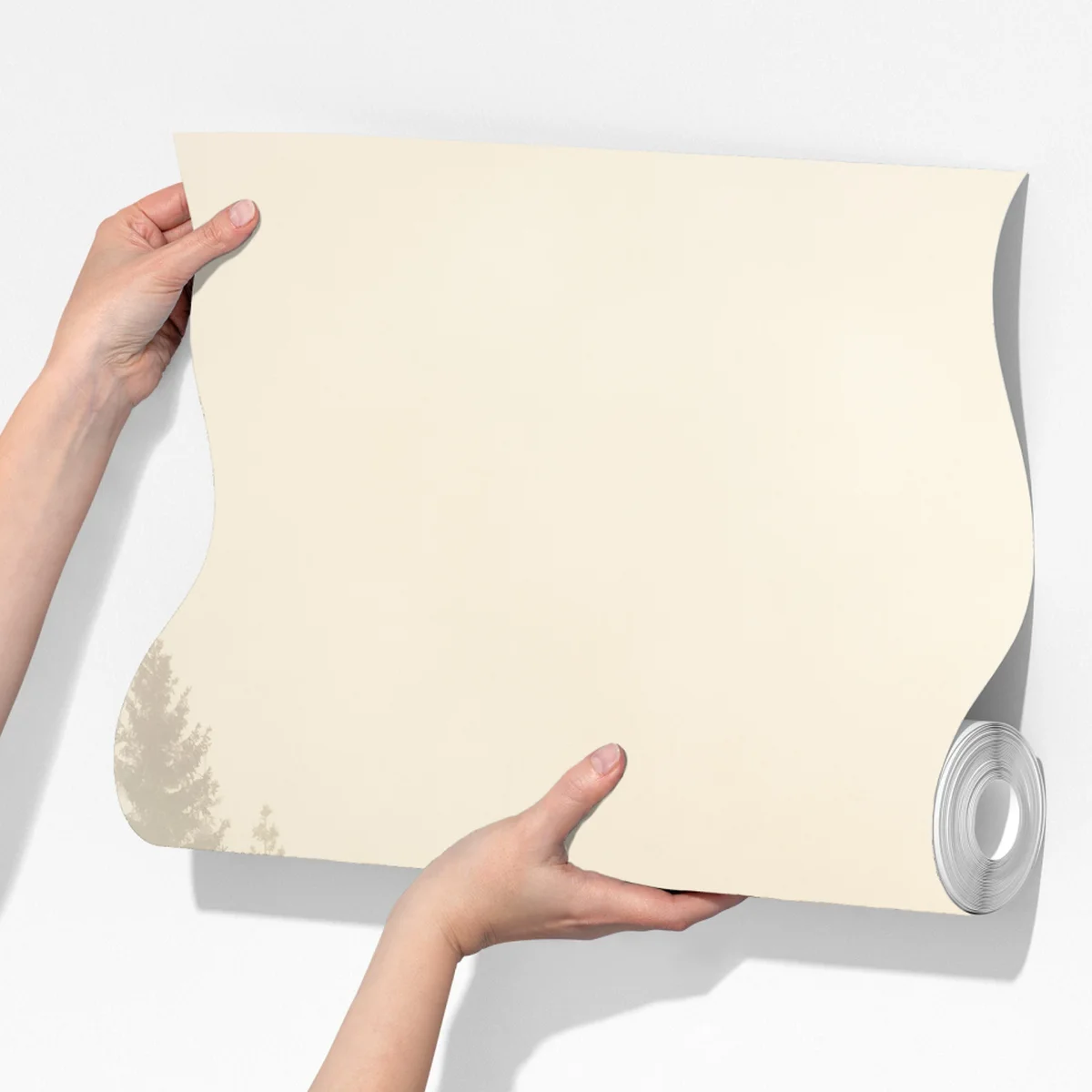 Fototapeta mglisty las świerkowy o wschodzie słońca Fototapeta mglisty las świerkowy o wschodzie słońca