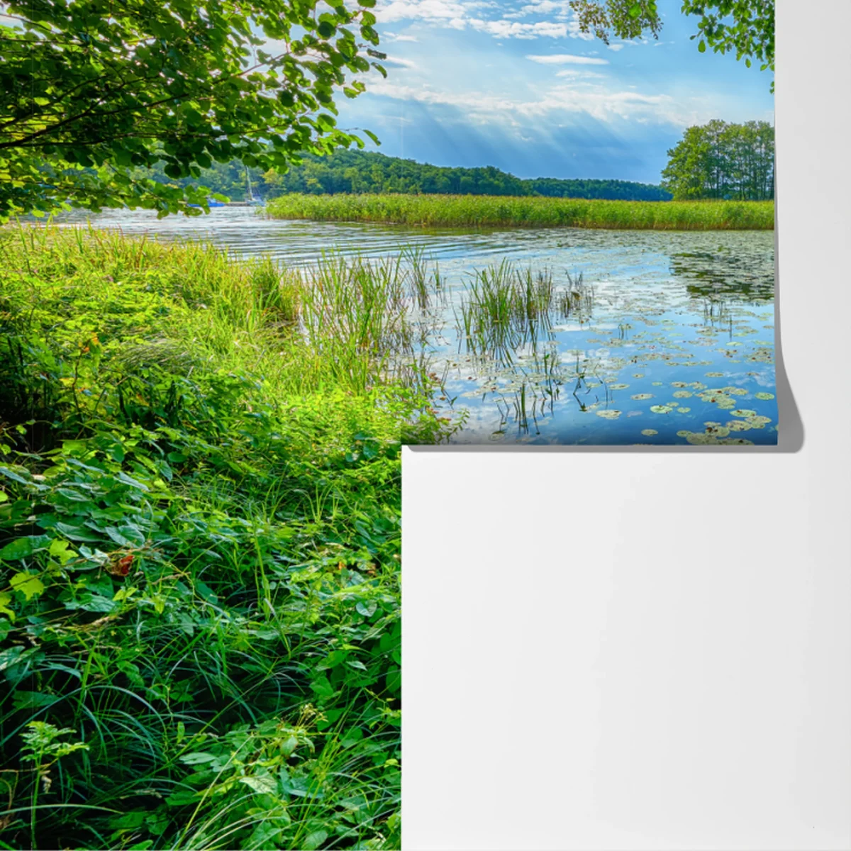 Fototapete sommer am Masurensee Fototapete sommer am Masurensee