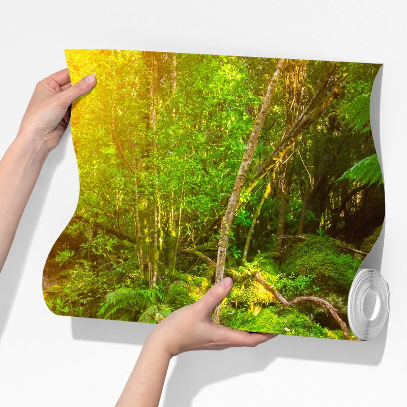 Fototapete moosiger regenwaldpfad auf der Tasman-Halbinsel Fototapete moosiger regenwaldpfad auf der Tasman-Halbinsel