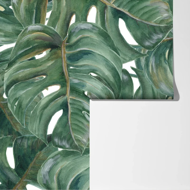 Fototapete monstera blätter in aquarell Fototapete monstera blätter in aquarell