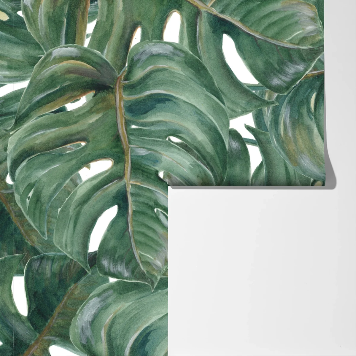 Fototapete monstera blätter in aquarell Fototapete monstera blätter in aquarell