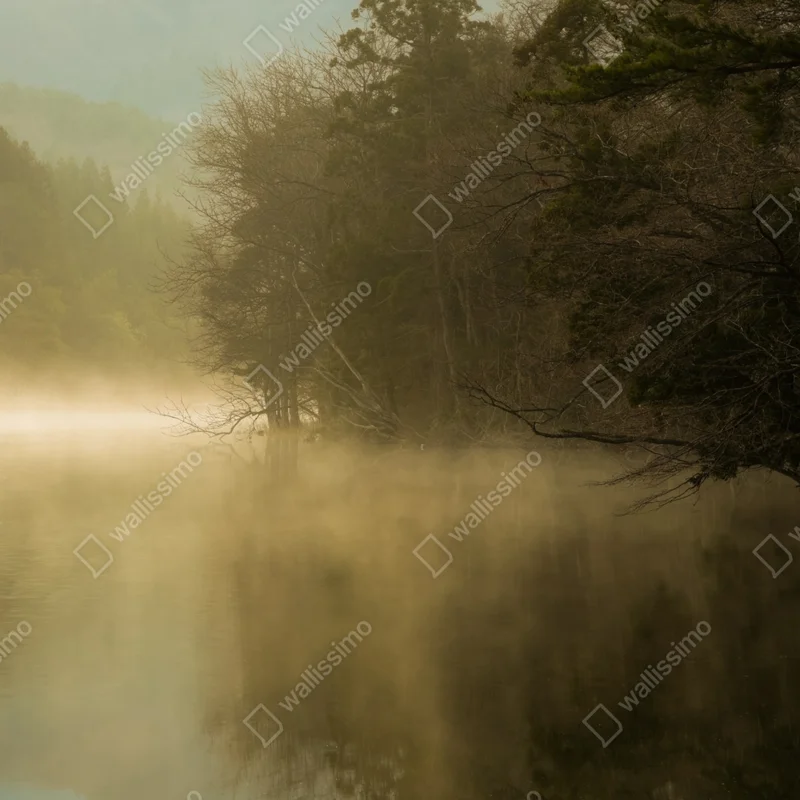 Poster nebliges seeufer am morgen • Poster bei Wallnifity® Poster nebliges seeufer am morgen • Poster bei Wallnifity®