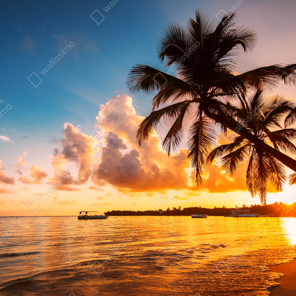 Poster tropischer sonnenuntergang mit palmensilhouetten, Dominikanische Republik Poster tropischer sonnenuntergang mit palmensilhouetten, Dominikanische Republik