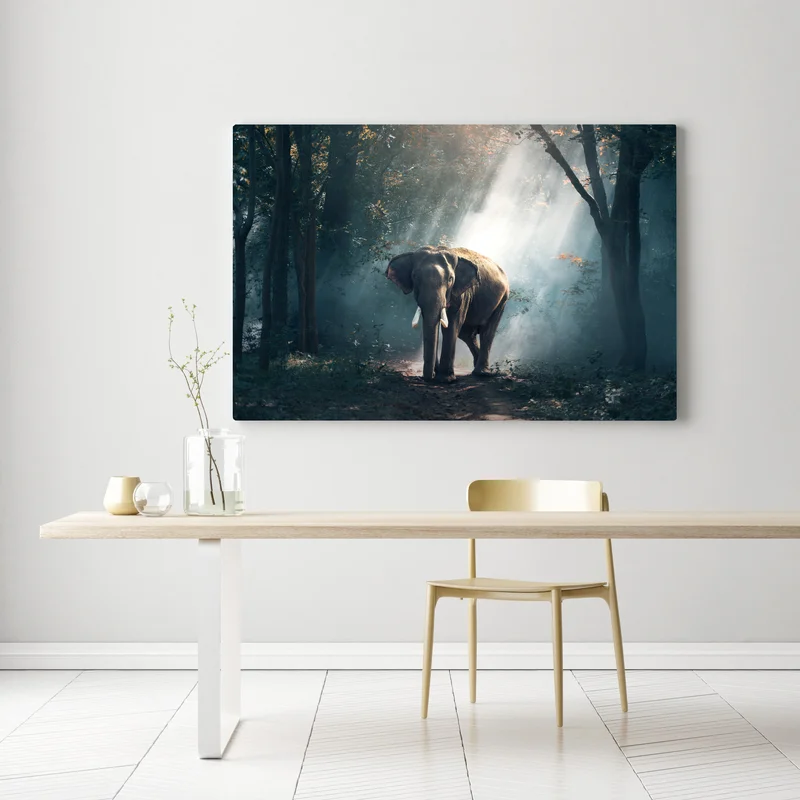 Leinwandbild majestätischer elefant im sonnenlichtdurchfluteten wald Leinwandbild majestätischer elefant im sonnenlichtdurchfluteten wald