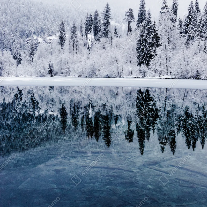 Fototapete winterlicher see mit spiegelung im verschneiten wald Fototapete winterlicher see mit spiegelung im verschneiten wald