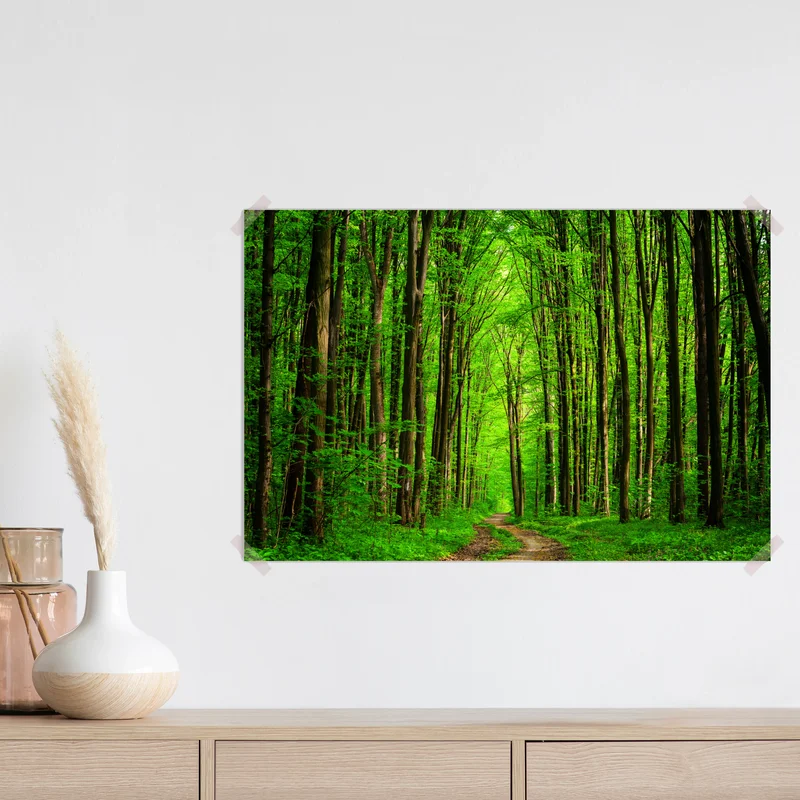 Poster üppiger grüner waldweg Poster üppiger grüner waldweg