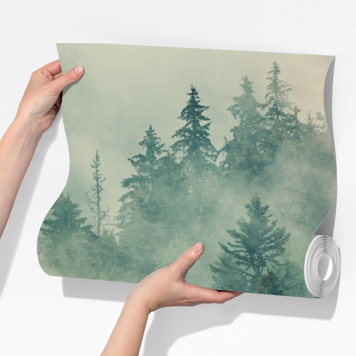 Fototapeta mglisty wieczniezielony las Fototapeta mglisty wieczniezielony las