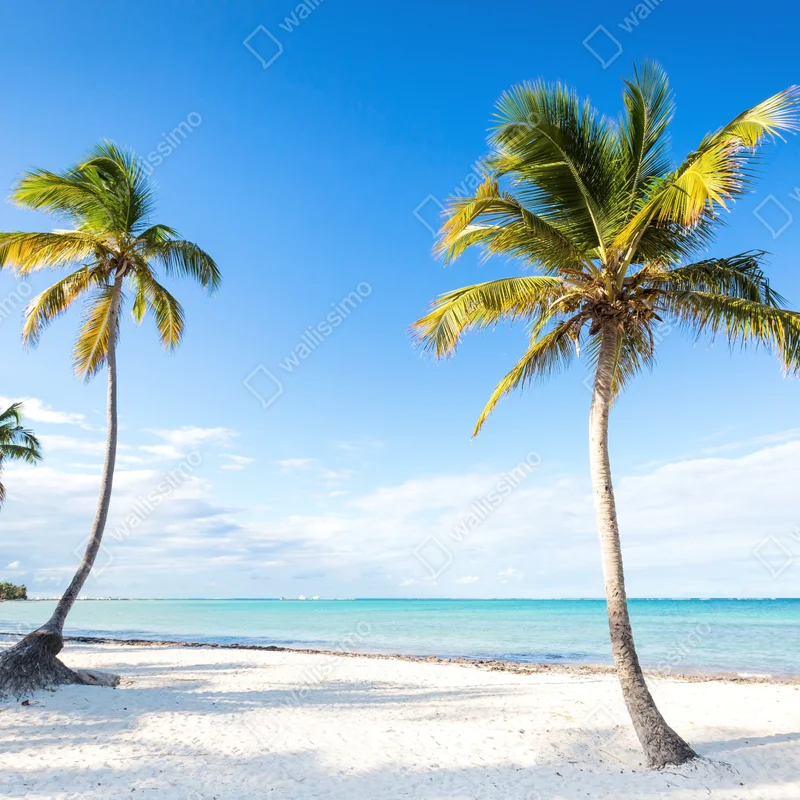 Fototapeta tropikalna plaża z palmami Fototapeta tropikalna plaża z palmami