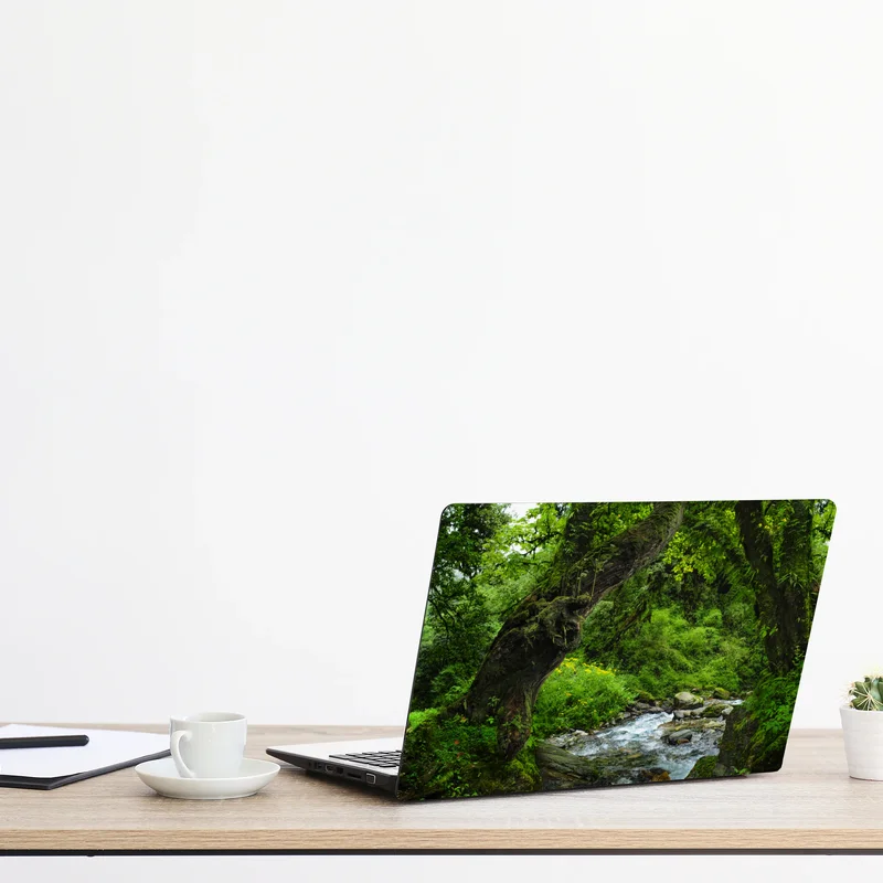 Laptop-Aufkleber moosiger waldbach panorama