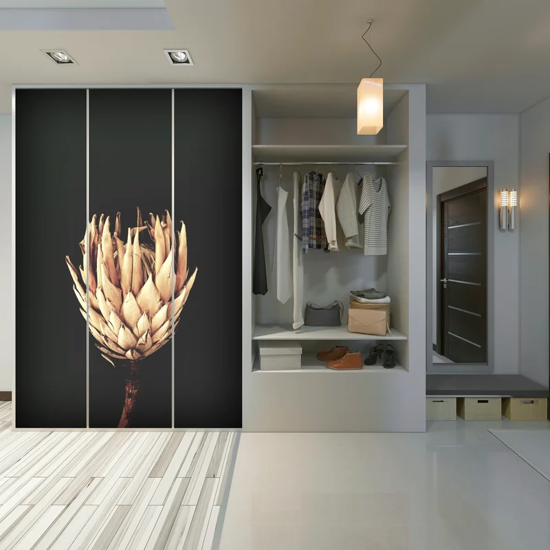 Schrankaufkleber getrocknete protea in sepia