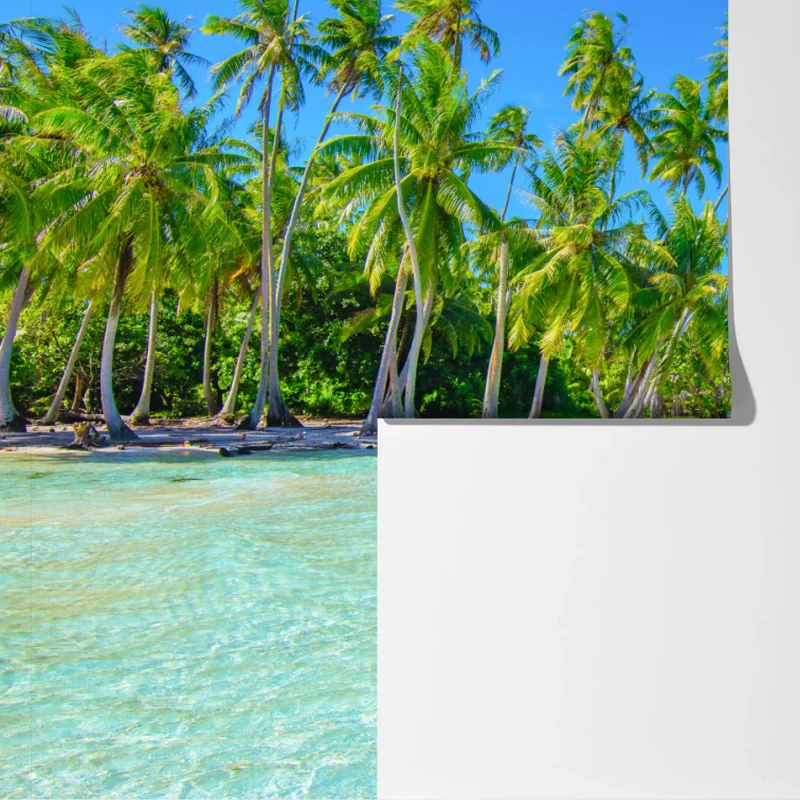 Fototapete tropischer palmenstrand Fototapete tropischer palmenstrand