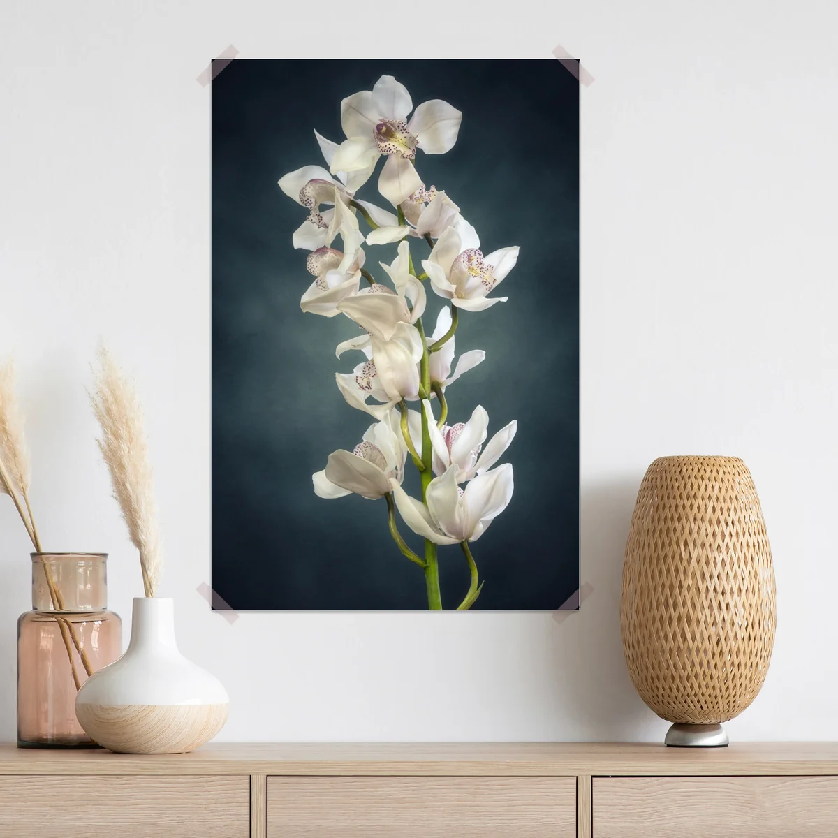 Poster zarte weiße orchideen vor gedämpftem hintergrund Poster zarte weiße orchideen vor gedämpftem hintergrund