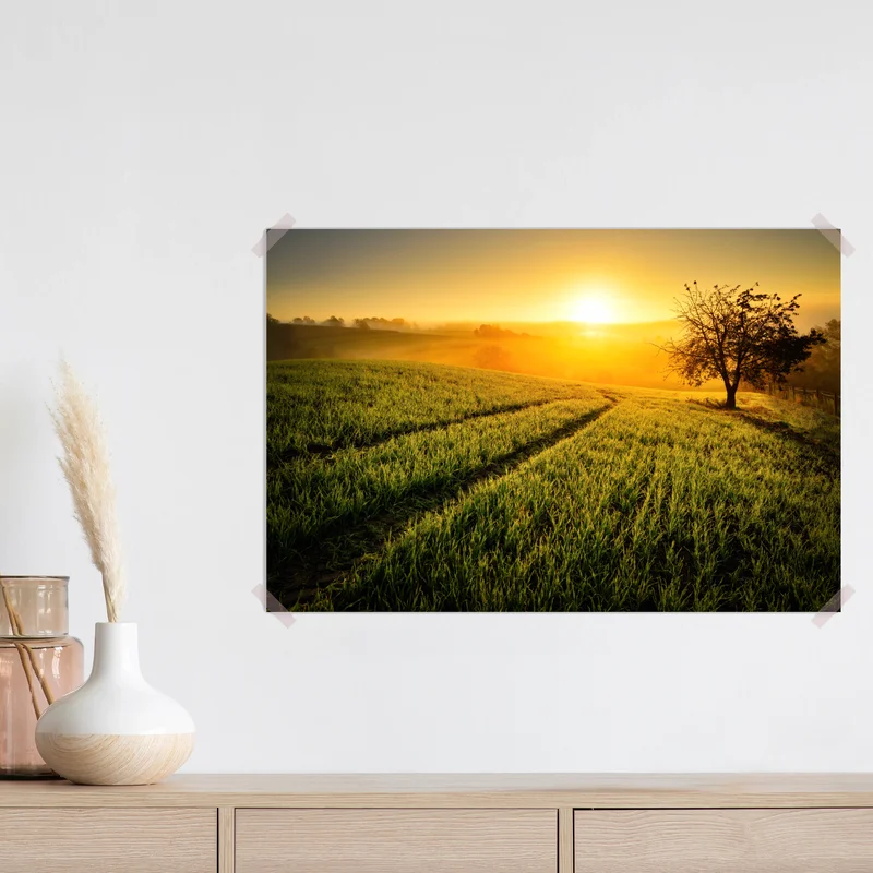 Poster sonnenbeschienene wiese im frühlicht Poster sonnenbeschienene wiese im frühlicht