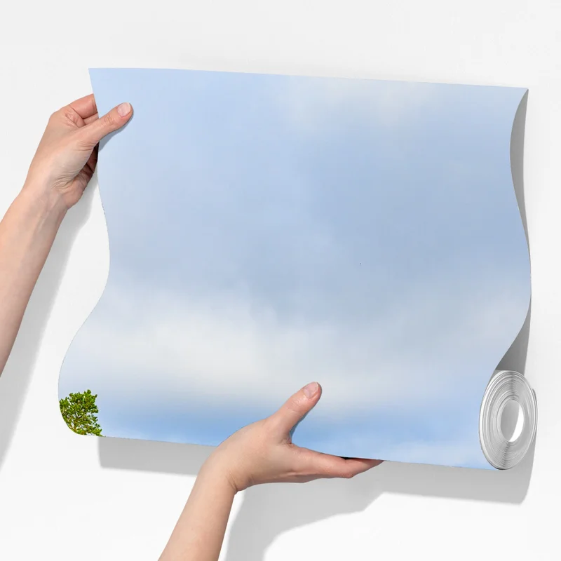 Fototapeta Czarny Las jesienna panorama drzew Fototapeta Czarny Las jesienna panorama drzew