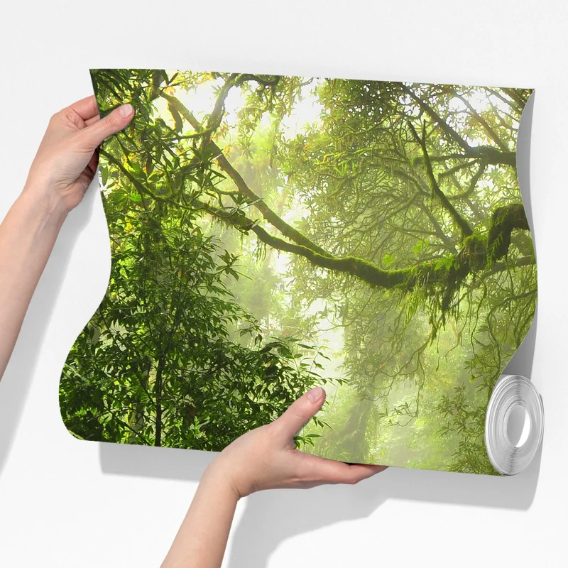 Fototapeta stara leśna ścieżka Fototapeta stara leśna ścieżka