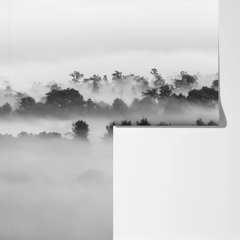Fototapeta mglisty las czarno-biały Fototapeta mglisty las czarno-biały