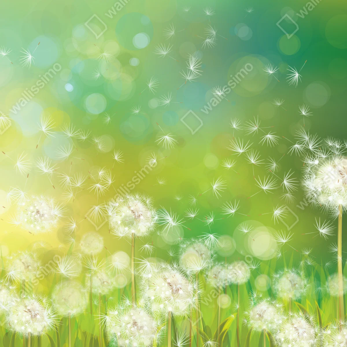 Leinwandbild frühlingswiese mit löwenzahn Leinwandbild frühlingswiese mit löwenzahn