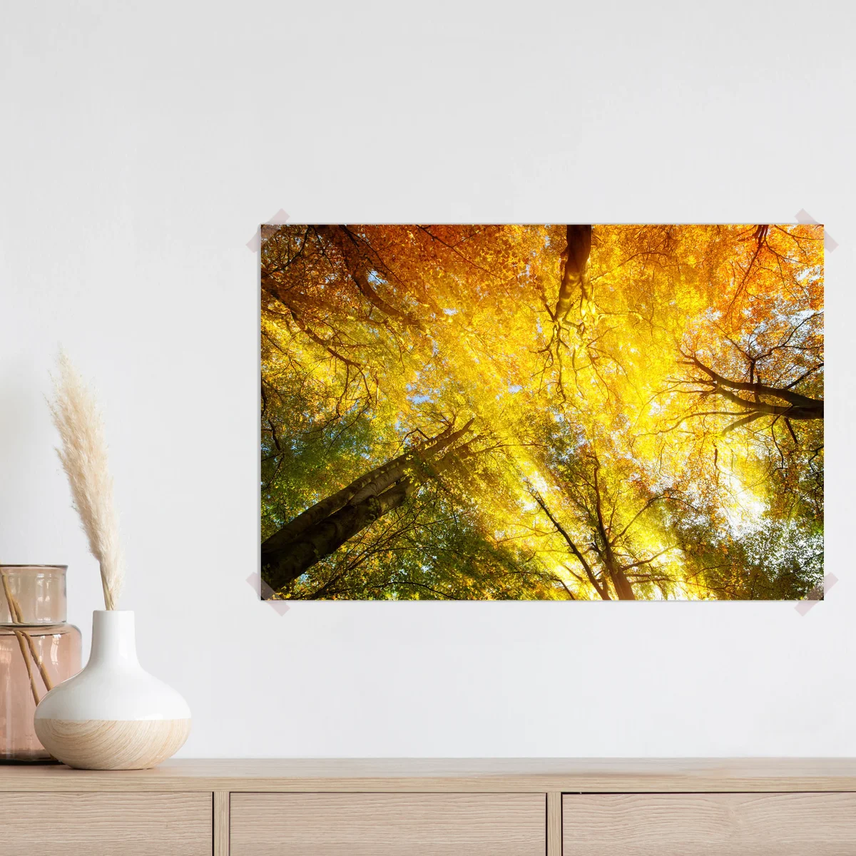 Poster Buntes Baumkronendach mit Sonnenstrahlen im Herbst • Poster bei Wallnifity® Poster Buntes Baumkronendach mit Sonnenstrahlen im Herbst • Poster bei Wallnifity®