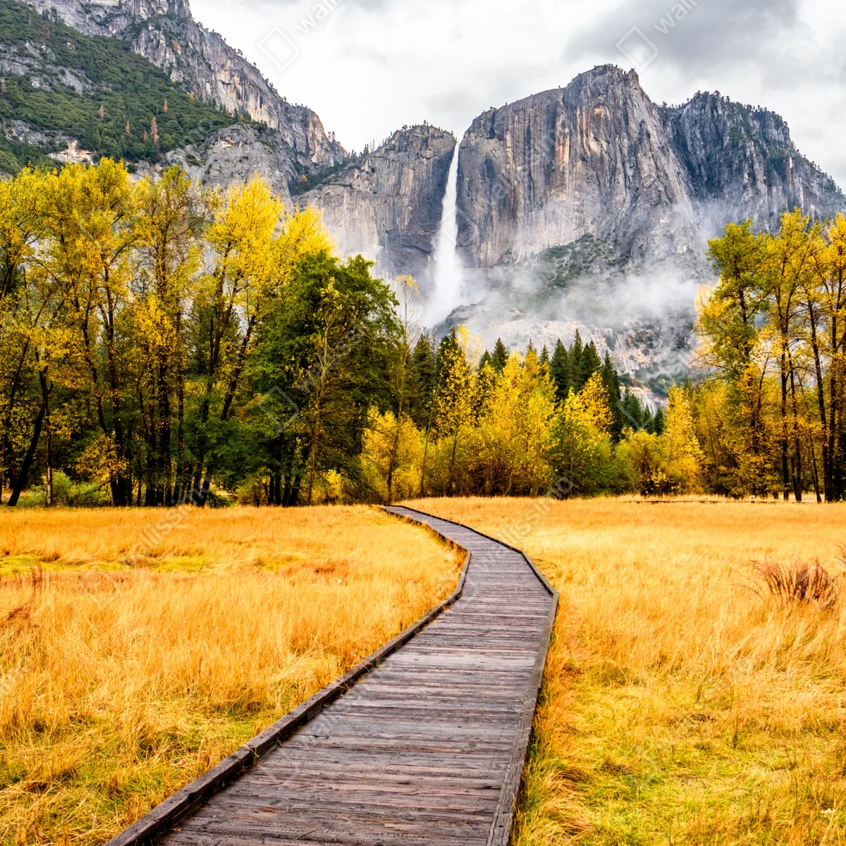 Fototapeta jesienna kładka prowadząca do wodospadu Fototapeta jesienna kładka prowadząca do wodospadu