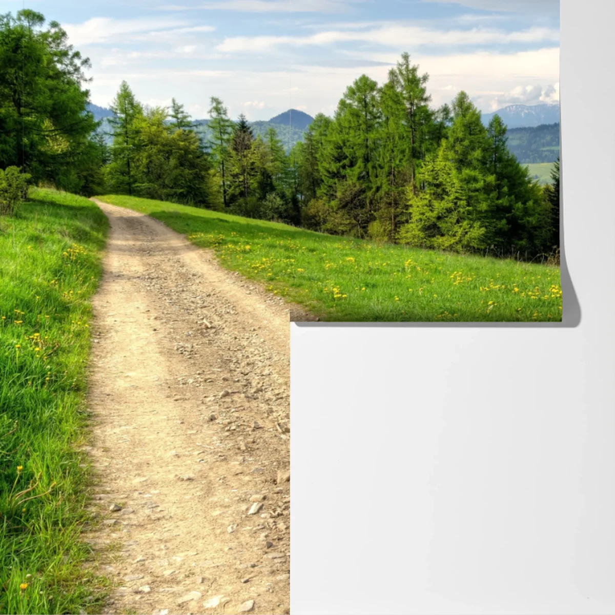 Fototapete Gorce frühlingspfad Fototapete Gorce frühlingspfad