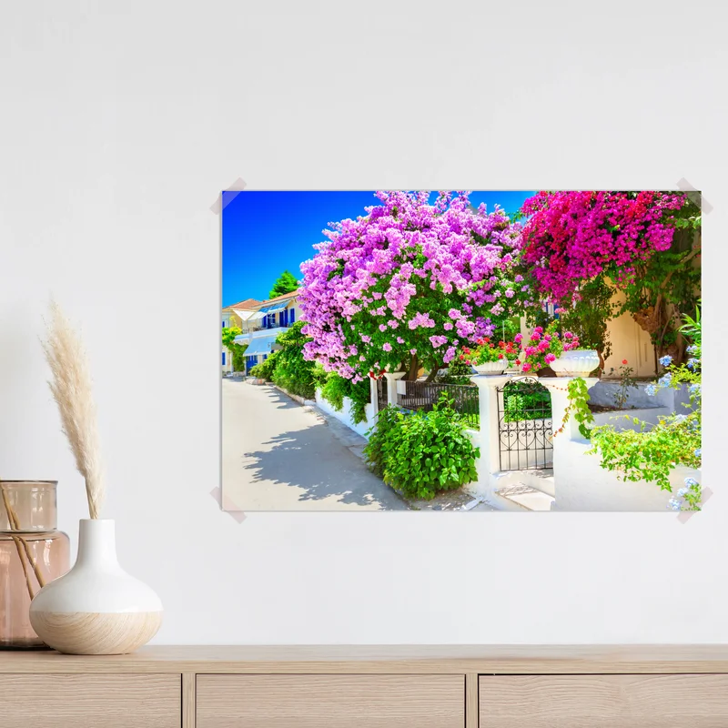 Poster lebendiger bougainvillea-garten an einem mediterranen haus • Poster bei Wallnifity® Poster lebendiger bougainvillea-garten an einem mediterranen haus • Poster bei Wallnifity®