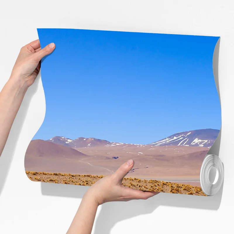 Fototapete lama auf dem altiplano der Anden Fototapete lama auf dem altiplano der Anden