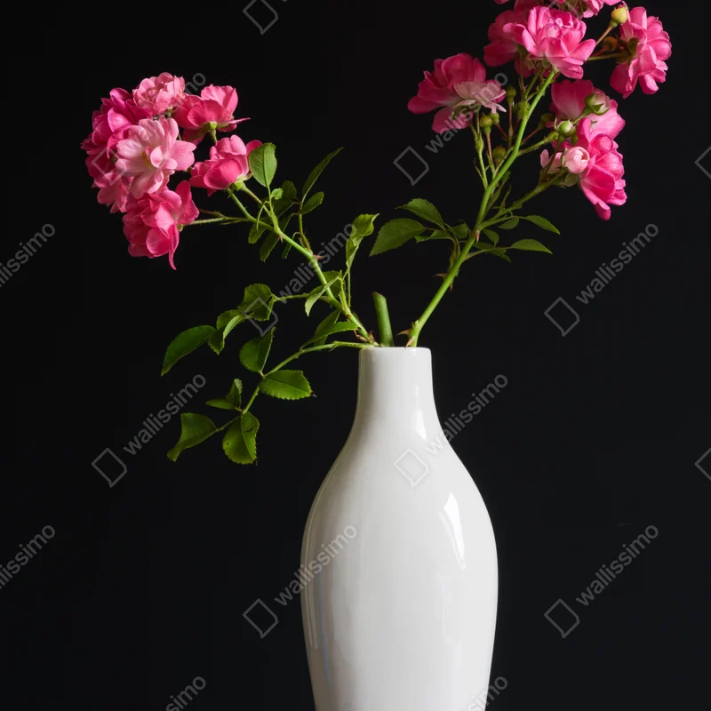 Repositionierbarer Aufkleber rosa rosen in weißer vase Repositionierbarer Aufkleber rosa rosen in weißer vase