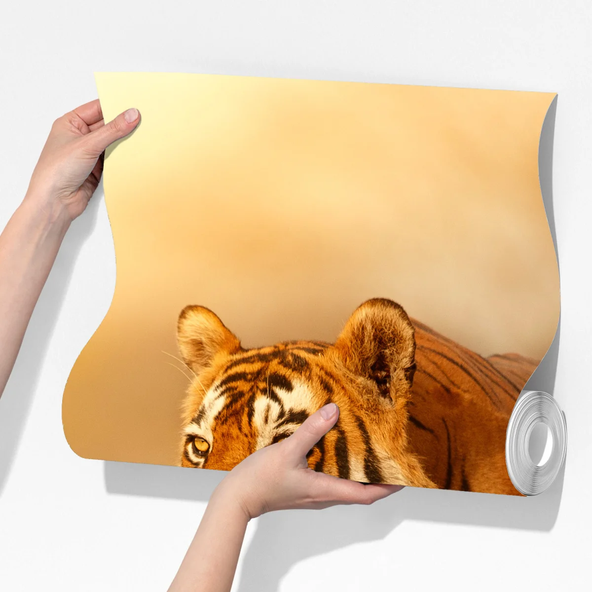 Fototapete majestätischer tiger im goldenen licht Fototapete majestätischer tiger im goldenen licht