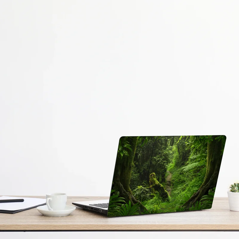 Naklejka na laptopa zaczarowana mszysta leśna ścieżka