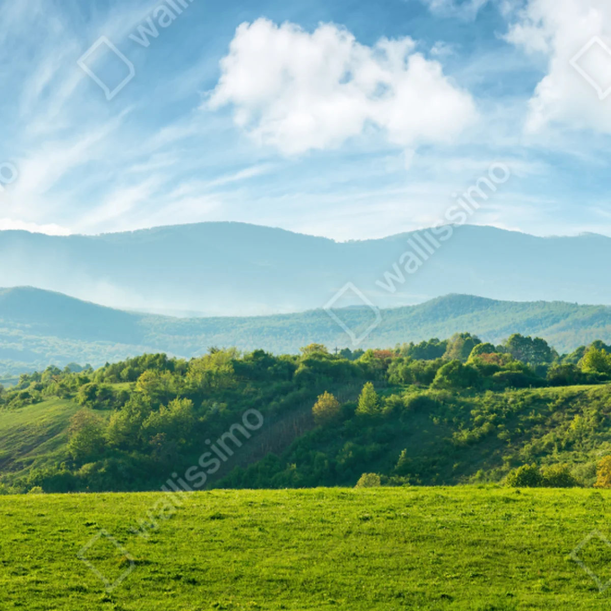 Naklejka na laptopa panorama wiosennych gór Rumunii Naklejka na laptopa panorama wiosennych gór Rumunii
