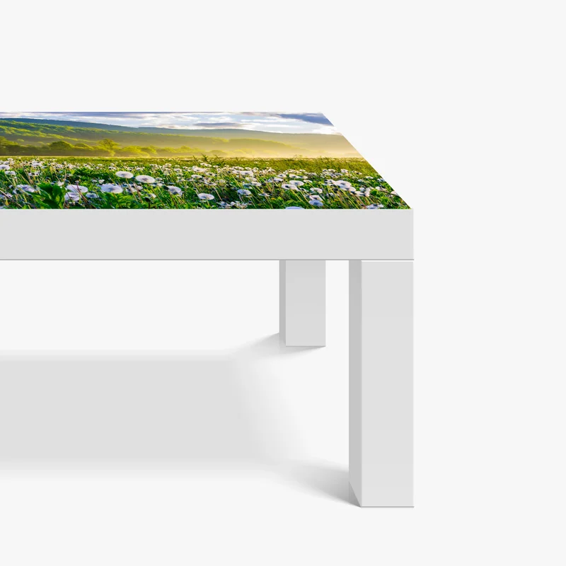 Tischaufkleber und Schreibtischaufkleber neblige löwenzahnwiese im sonnenaufgang Tischaufkleber und Schreibtischaufkleber neblige löwenzahnwiese im sonnenaufgang