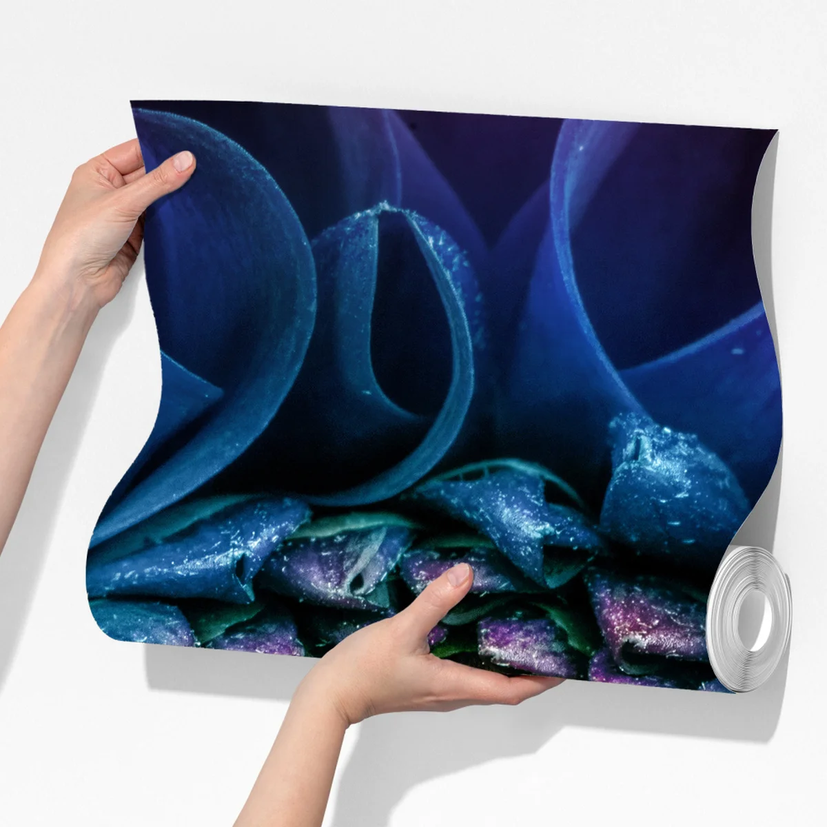 Fototapete leuchtende blaue chrysantheme nahaufnahme Fototapete leuchtende blaue chrysantheme nahaufnahme