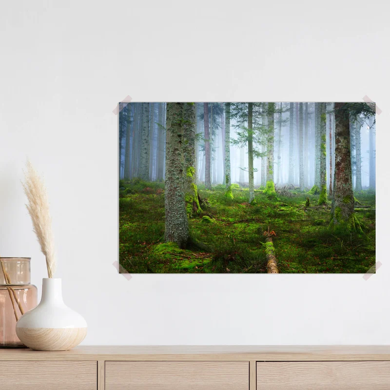 Poster nebliger kiefernwald aus dem Elsass Poster nebliger kiefernwald aus dem Elsass